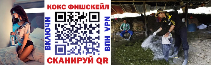 omg как войти  Бузулук  COCAIN Columbia 