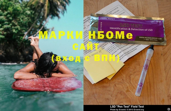 шишки Богородицк