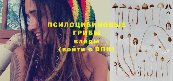 герыч Елабуга