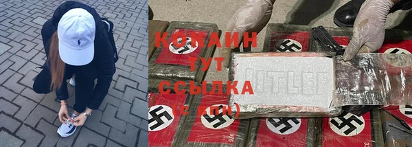 шишки Богородицк