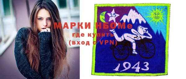 шишки Богородицк