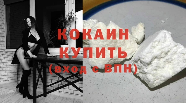 шишки Бронницы