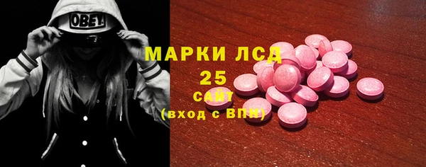шишки Богородицк