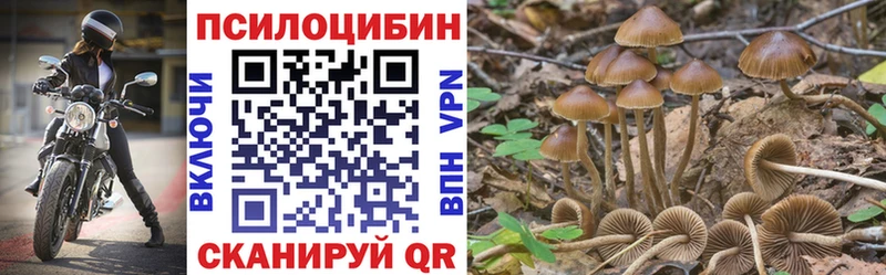 Галлюциногенные грибы Cubensis Бузулук